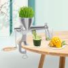 Manual Wheatgrass, Fruit and Vegetable Juicer, Stainless Steel view 2