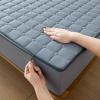 Zippered Mattress Protector, Gray, Soft, Adjustable Quilted Encasing Cover, Washable Fitted Sheet Mattress Topper (160x200+5 cm, Blue) view 4