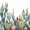 Large Paint by Numbers Kit for Adults, 100 x 200 cm, Succulents, DIY Craft Set with Brushes and Acrylic Paint, Unframed view 2