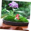 BCOATH Mini Mushroom Statues, 5-Piece Resin Set view 3