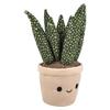 Rhode Island Novelty Plush Succulent Assortment (6 ct) view 3