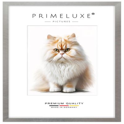 PrimeLuxe Solid Wood Picture Frame, 48 x 60 cm, Silver Gray