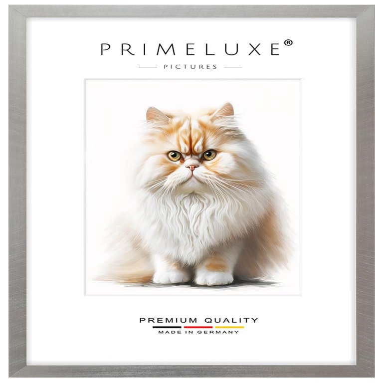 PrimeLuxe Solid Wood Picture Frame, 48 x 60 cm, Silver Gray