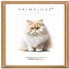 PrimeLuxe Solid Wood Picture Frame, Custom Size 28 x 36 cm, Bordeaux Red Gold view 1