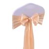 SUBLXPoten Satin Chair Sashes for Wedding Chair Covers, Champagne view 1