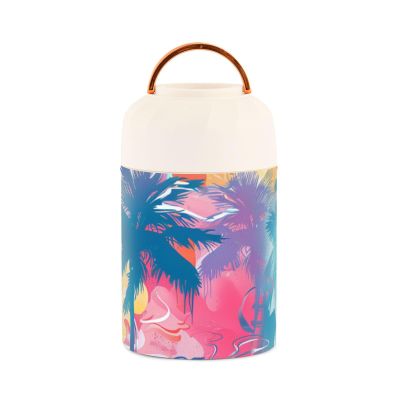 Beach Resort Style Translucent Stainless Steel Vacuum-Insulated Food Jar with Spoon