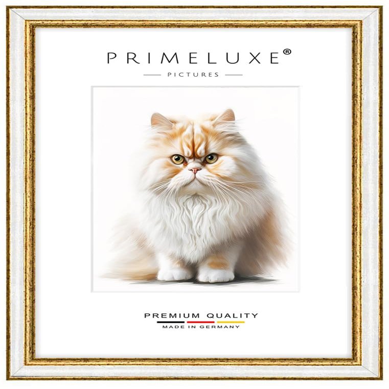 PrimeLuxe Custom-Made Solid Wood Picture Frame, 80 x 80 cm Square, Antique White/Gold, Anti-Glare Acrylic Glass