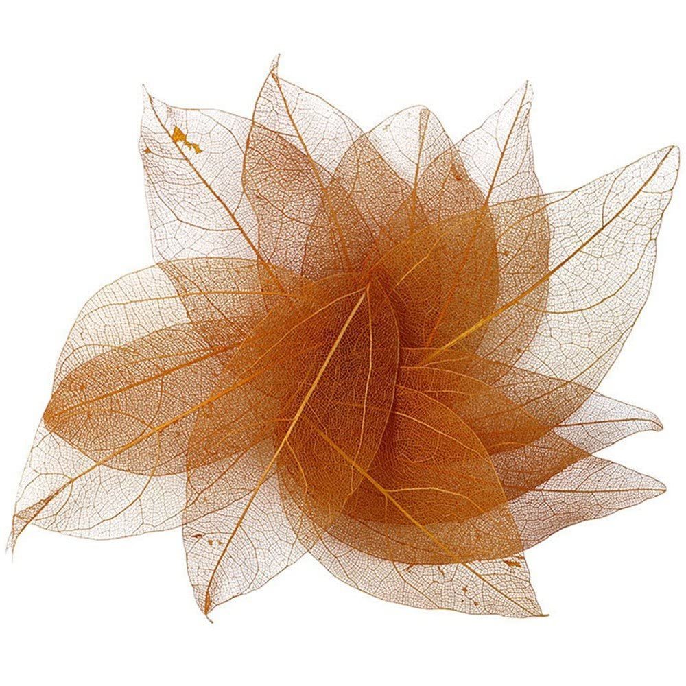 Lipfer 36-Piece Natural Skeleton Leaves, Dried Leaves for Scrapbooking and DIY