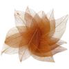 Lipfer 36-Piece Natural Skeleton Leaves, Dried Leaves for Scrapbooking and DIY view 1