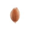 Lipfer 36-Piece Natural Skeleton Leaves, Dried Leaves for Scrapbooking and DIY view 2