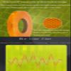 NHEISSCF Reflective Safety Warning Tape, 1.2 in x 9.8 ft view 4