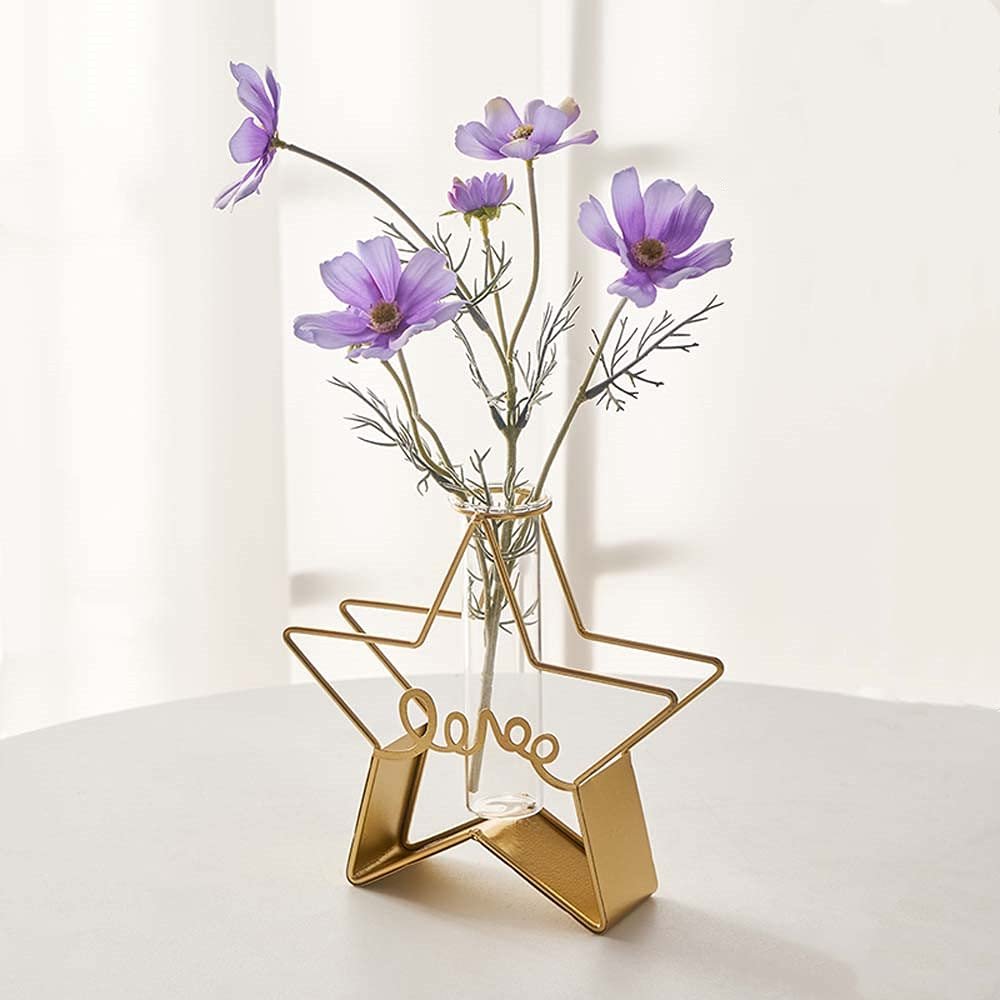 Aquarium Set, Glass Test Tube Planter with Gold Metal Frame, Style O
