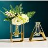 Aquarium Set, Glass Test Tube Planter with Gold Metal Frame, Style O view 2
