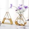 Aquarium Set, Glass Test Tube Planter with Gold Metal Frame, Style O view 3