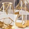 Aquarium Set, Glass Test Tube Planter with Gold Metal Frame, Style O view 4