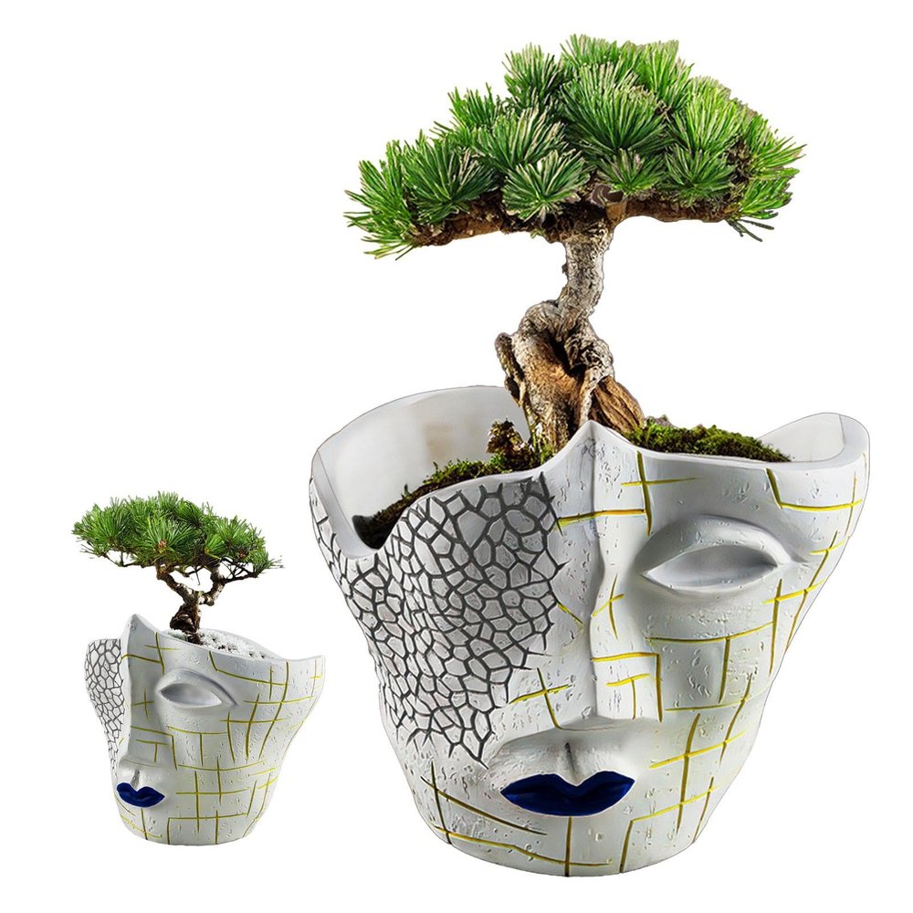 Gitekain Face Planter, Cute Flower Pot