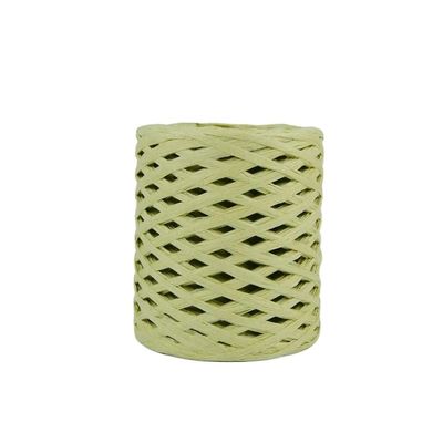 200 m/Roll Hollow Checkered Raffia Paper Crochet Yarn, Matcha Green