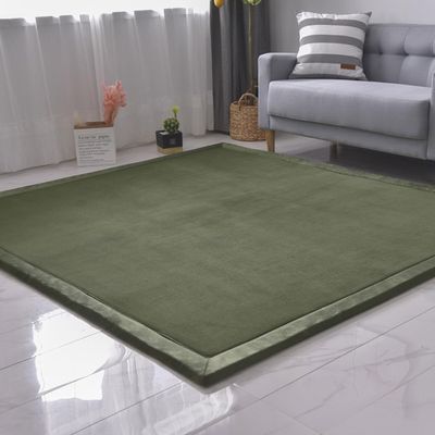 DSSHENGDS Soft Coral Velvet Rug, 100 x 150 cm