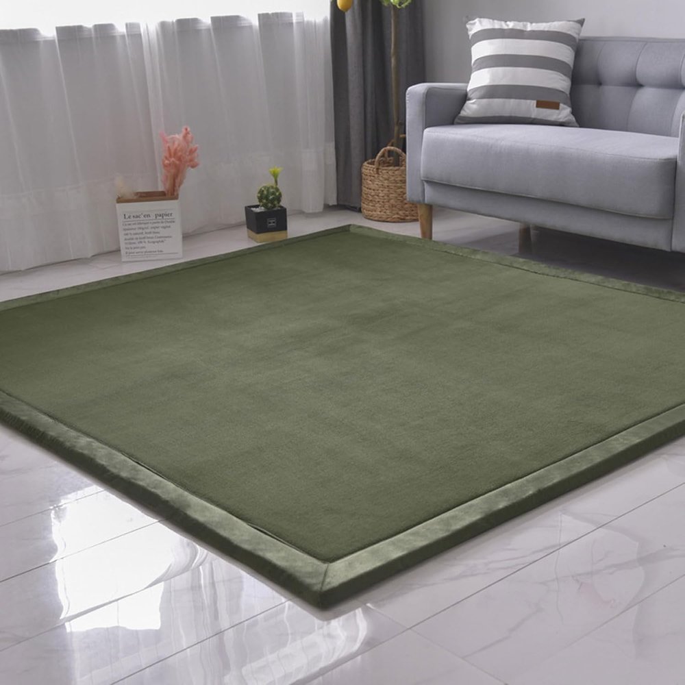 DSSHENGDS Soft Coral Velvet Rug, 100 x 150 cm