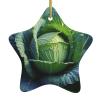 Glowing Cabbage Christmas Ornament, Ceramic Star with Gold-Tone Ribbon view 1
