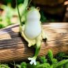 Altsuceser Frog Holding Leaves with Leaf Umbrella view 2
