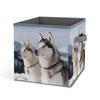 YKUDBN Foldable Storage Box with Husky Dog Print and Handles view 1