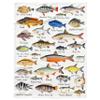 Ultra-Soft Plush Flannel Fleece Throw Blanket, M, 152.4 x 127 cm view 2