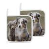 Australian Shepherd Pocket Potholders, 8-Inch, 2-Pack view 1