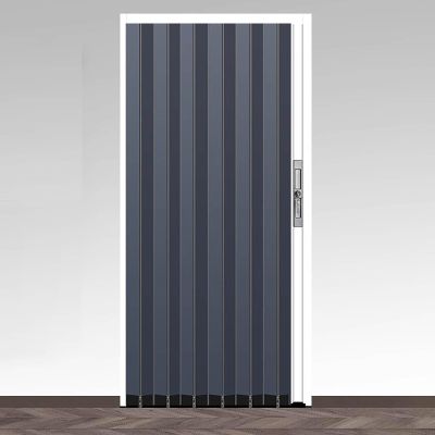 Folding/Sliding Interior Door, 80 in High, Black, 5.22 x 80 in (55.9 x 203.2 cm)