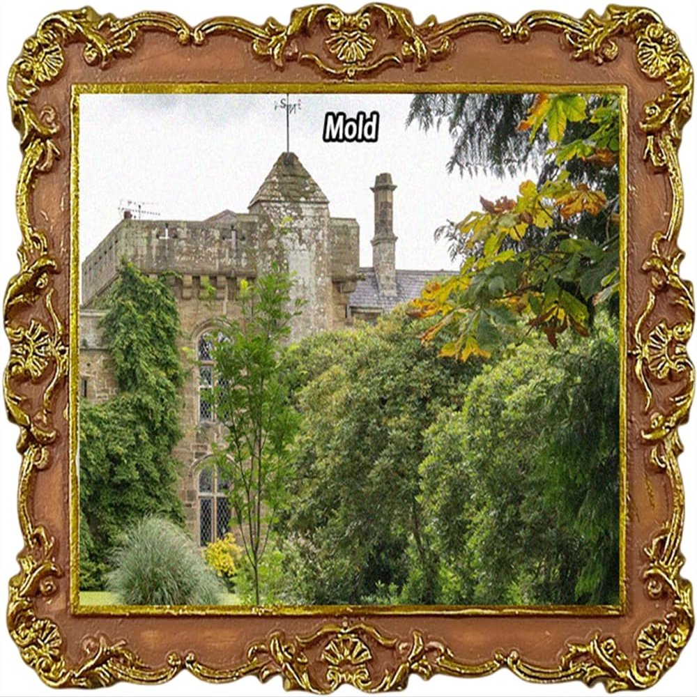 Mold, Wales UK Tourist Souvenir Refrigerator Magnet
