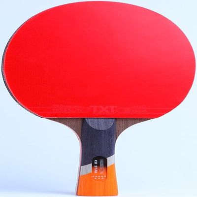 HSWOYEA Professional Offensive Table Tennis Paddle with Case