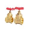PHNOITPQ G 1/2", 3/4", 1", 1-1/2", 2" Female-Thread Brass Gate Valve DN15–DN50 with Steel Handwheel, Full Connection (DN15) view 2