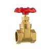 PHNOITPQ G 1/2", 3/4", 1", 1-1/2", 2" Female-Thread Brass Gate Valve DN15–DN50 with Steel Handwheel, Full Connection (DN15) view 3