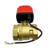 CZAOINCU Motorized Brass Ball Valve, DN15–DN40, IP65, High Torque, 3-Wire or 2-Wire, DN32, 220V_CR04 view 3