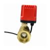 CZAOINCU Motorized Brass Ball Valve, DN15–DN40, IP65, High Torque, 3-Wire or 2-Wire, DN32, 220V_CR04 view 4