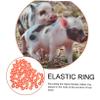 Supvox 300-Piece Rubber Rings for Pigs, Sheep, and Cattle, Elastic Tail Docking Rings for Veterinary Use, Orange view 3