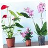 MOBUTOFU 20-Piece Acrylic Plant Support Sticks, Transparent Supports for Potted Plants and Garden Flowers view 3