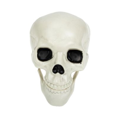 Alipis Realistic Skull Party Decoration, Plastic Halloween Theme Party