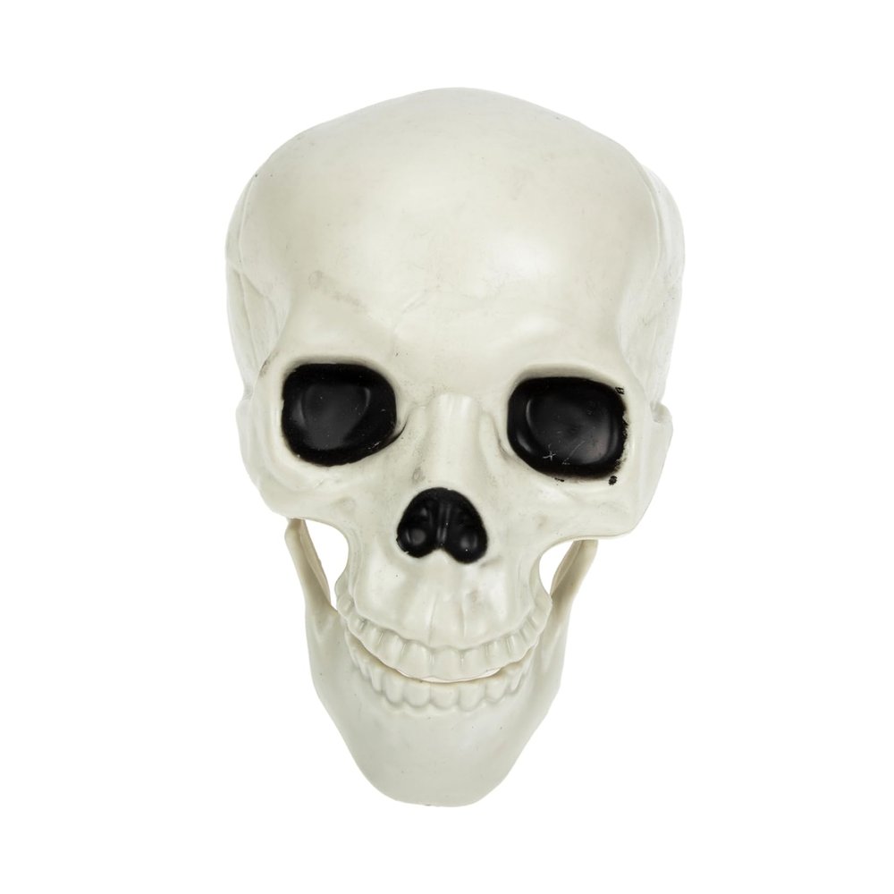 Alipis Realistic Skull Party Decoration, Plastic Halloween Theme Party