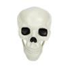 Alipis Realistic Skull Party Decoration, Plastic Halloween Theme Party view 1