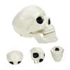 Alipis Realistic Skull Party Decoration, Plastic Halloween Theme Party view 2