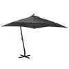 Hovothy Cantilever Patio Umbrella, Anthracite, 300 x 280 cm view 2