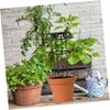 Kisangel Trellis for Potted Plants, Black Plastic-Coated Iron, for Indoor and Outdoor Climbing Plants view 2