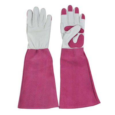 Garden Gloves with White Roses, Thorn-Resistant, for Women and Men (M)