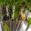 Plant Labels for Outdoor Plants, 10-Piece Plant Markers view 3