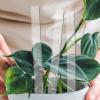 Plant Labels for Outdoor Plants, 10-Piece Plant Markers view 4