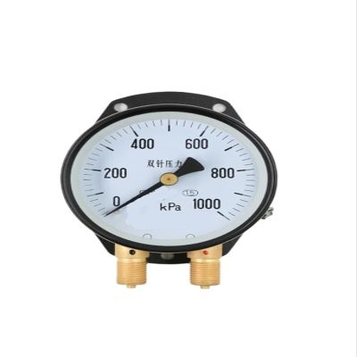 LUJIAYA YZS-102 Dual-Needle, Dual-Tube Pressure Gauge, Railway Panel, 0–600 kPa