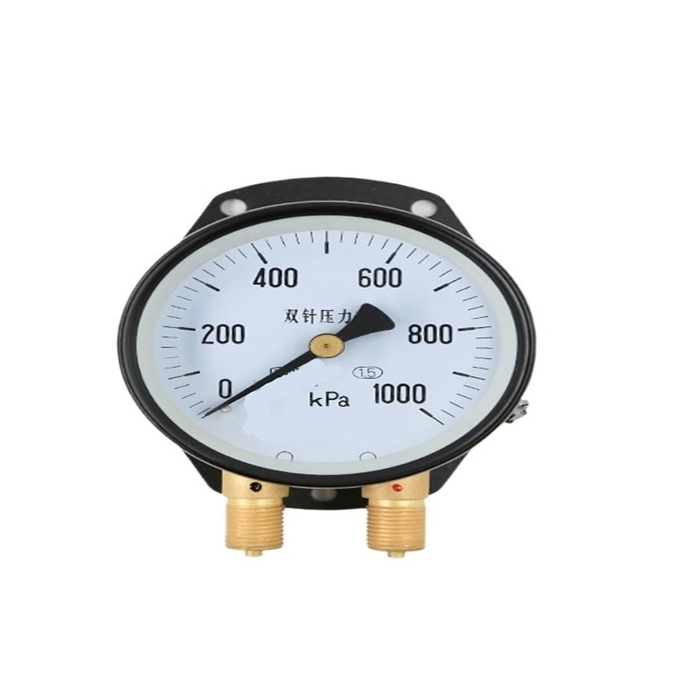 LUJIAYA YZS-102 Dual-Needle, Dual-Tube Pressure Gauge, Railway Panel, 0–600 kPa