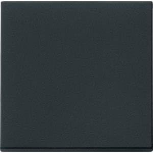 Gira 3290005 Control Rocker, Matte Black