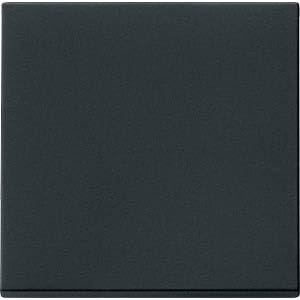 Gira 3290005 Control Rocker, Matte Black